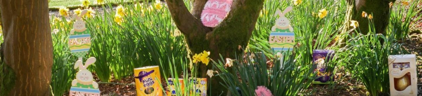 Best Family Easter Activities in the Yorkshire Dales for 2026